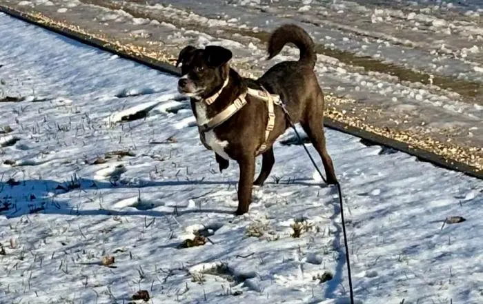 Cosmo