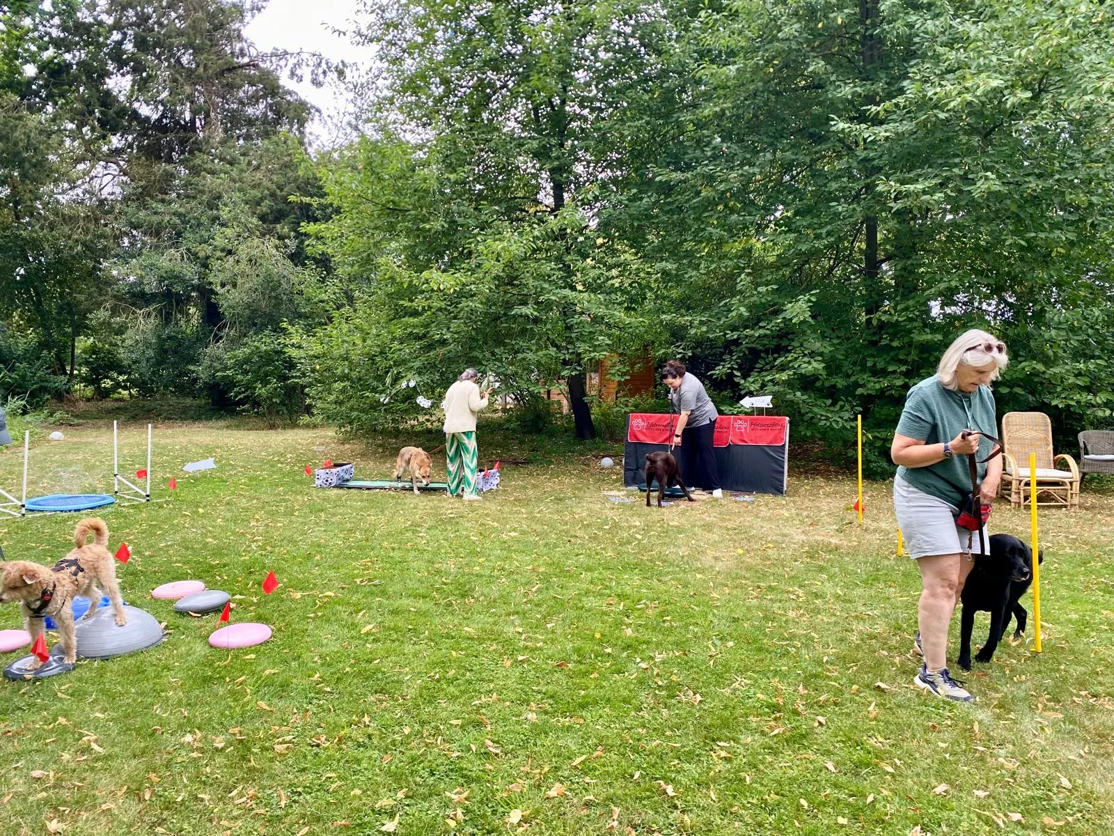GoldenAgility
