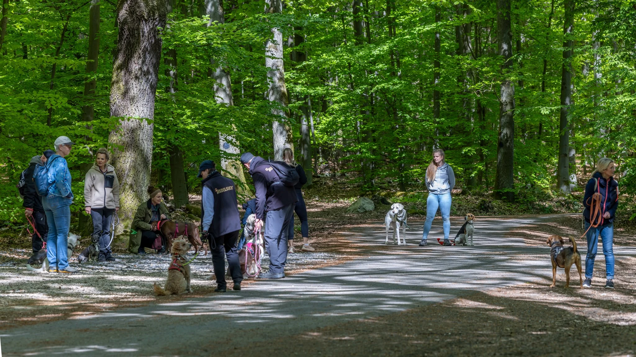 SocialWalk in Bonn