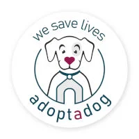 Adopt a Dog