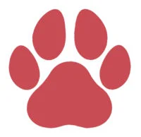 PetchApp
